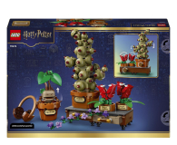 LEGO HARRY POTTER 76474 Rośliny z lekcji zielarstwa w Hogwarcie - 1529861 - zdjęcie 9